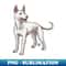EF-9135_Dog - Pakistani Gull Terrier - Speckled 3670.jpg