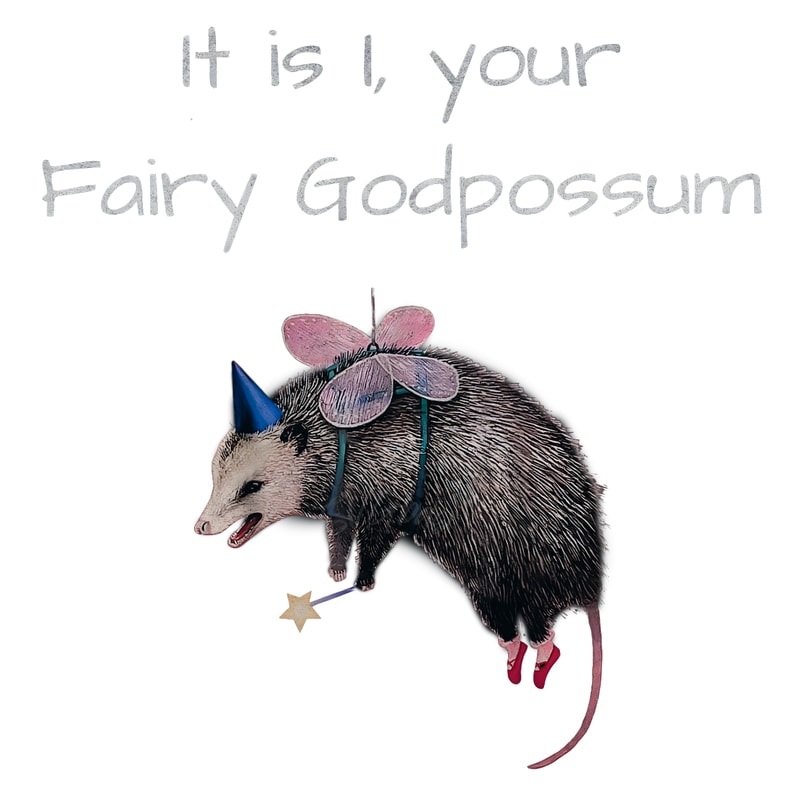 It-Is-I-Your-Fairy-Godpossum-Funny-Opossum-PNG-1906241034.png