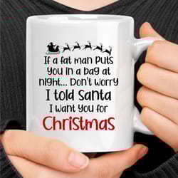 i told santa i want you for christmas mug
