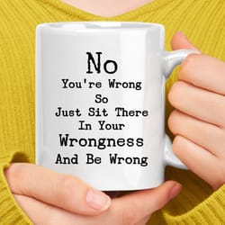no you're wrong so just sit there in your wrongness coffee mug