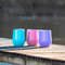 Portable Insulated Wine Cup 2