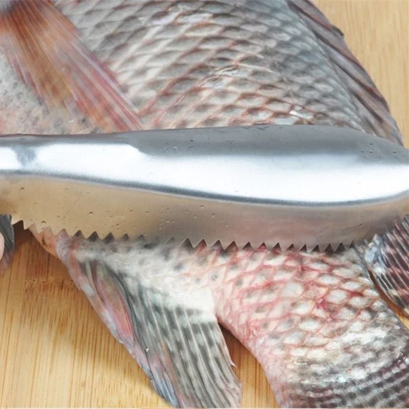 Stainless steel fish scraper