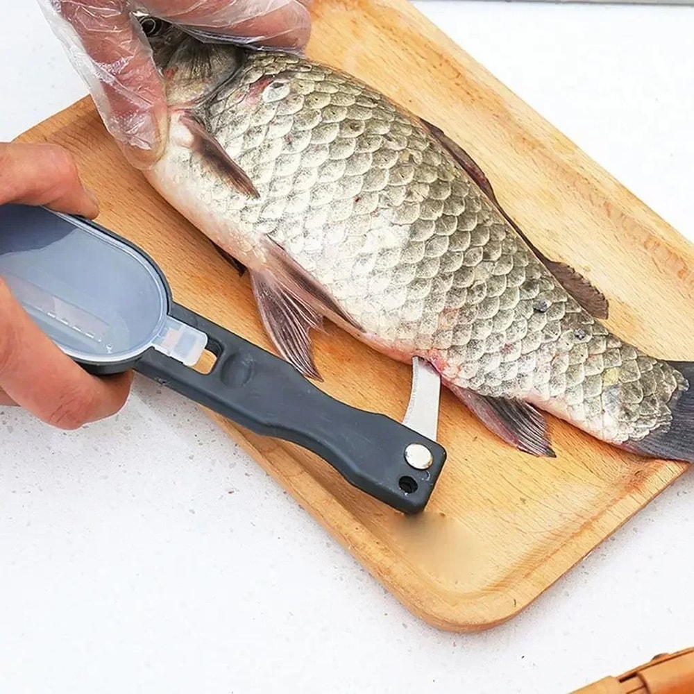 Buy Stainless Steel Fish Scale Scraper Gutting Tool