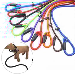 nylon dog leash | slip lead rope | adjustable training leash for small pets