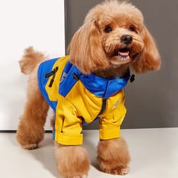 waterproof hooded pet jacket: stylish winter coat for dogs & cats