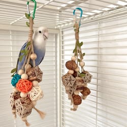 colorful hanging parrot toy: articles for training & biting fun