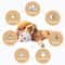 c9gaPet-Smart-Cat-Toy-Electric-Automatic-Plush-Bouncing-Toys-Interactive-Toys-Self-moving-Kitten-Toys-for.jpg