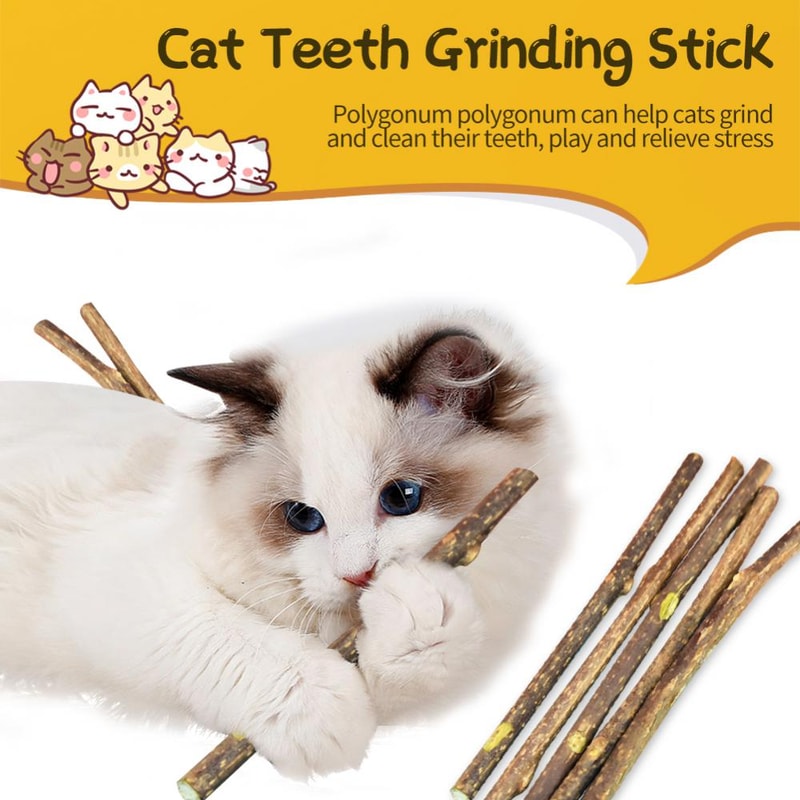 FVZn5-25-50PCS-Natural-Matatabi-Cat-Stick-Mint-Caught-Bite-Excited-Rods-Silvervine-For-Cat-Teeth.jpg