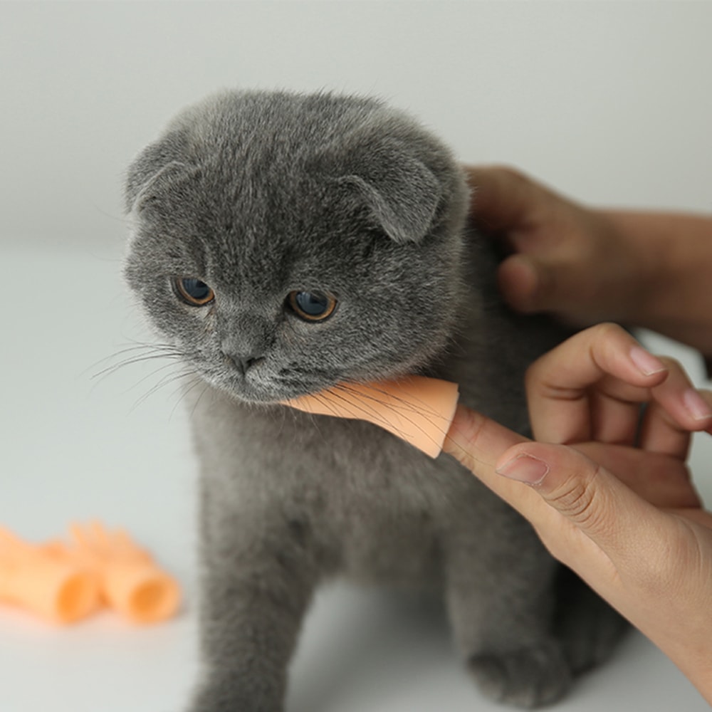 QQXeTeasing-Cat-Plastic-Finger-Gloves-Human-Fake-Hand-Cat-Interactive-Toys-Caress-Cat-Dog-Toys-Little.jpg