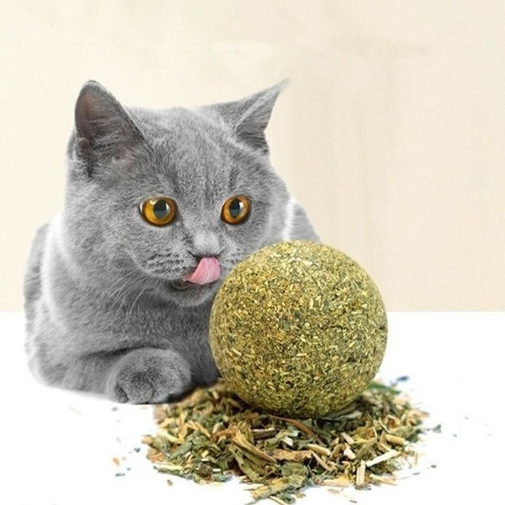 LBMDCat-Wall-Stick-on-Ball-Toy-Pet-Teeth-Grinding-Tooth-Cleaning-Cat-Grass-Balls-Cat-Snacks.jpg