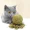 LBMDCat-Wall-Stick-on-Ball-Toy-Pet-Teeth-Grinding-Tooth-Cleaning-Cat-Grass-Balls-Cat-Snacks.jpg