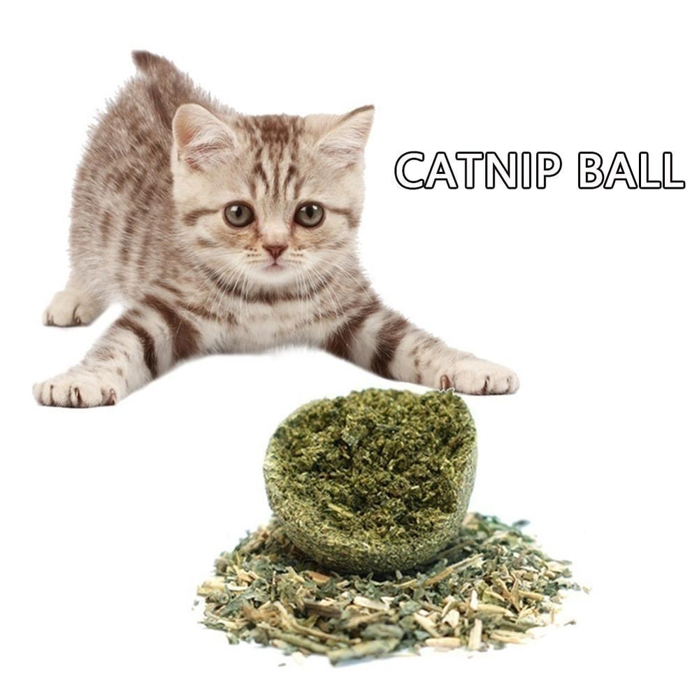 16lOCat-Wall-Stick-on-Ball-Toy-Pet-Teeth-Grinding-Tooth-Cleaning-Cat-Grass-Balls-Cat-Snacks.jpg