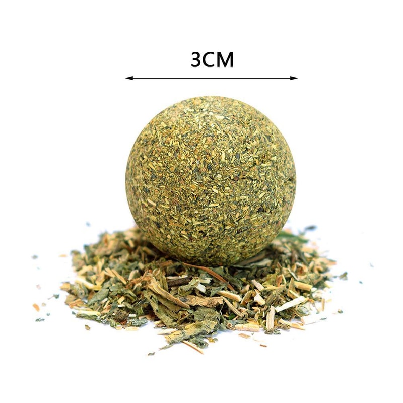 OfhrCat-Wall-Stick-on-Ball-Toy-Pet-Teeth-Grinding-Tooth-Cleaning-Cat-Grass-Balls-Cat-Snacks.jpg