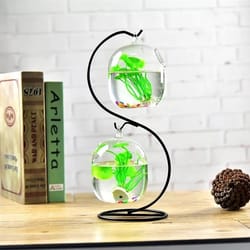 suspended transparent hanging glass fish tank infusion bottle aquarium flower