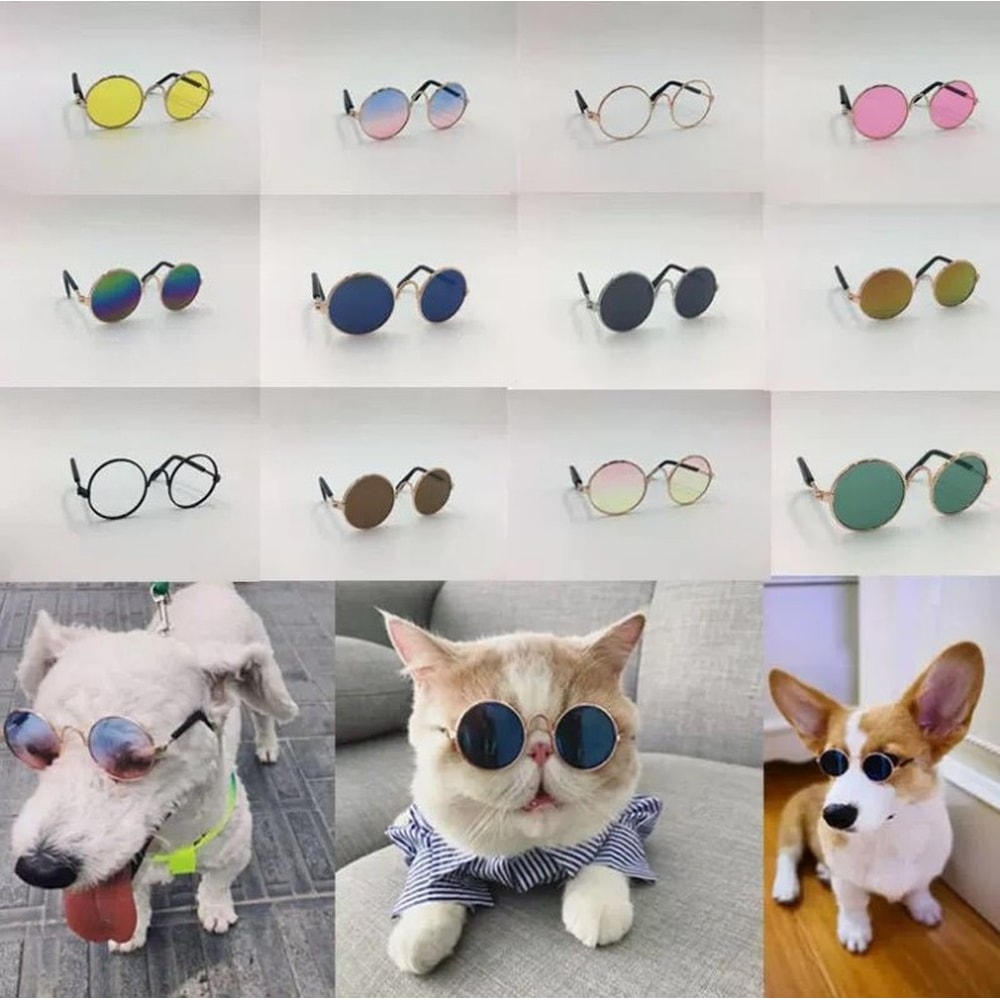 hHw2Pet-Cat-Dog-Glasses-Pet-Products-for-Little-Dog-Cat-Eye-Wear-Dog-Sunglasses-Kitten-Accessories.jpg