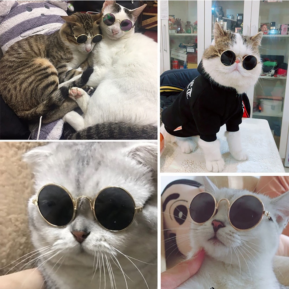 1KHpPet-Cat-Dog-Glasses-Pet-Products-for-Little-Dog-Cat-Eye-Wear-Dog-Sunglasses-Kitten-Accessories.jpg
