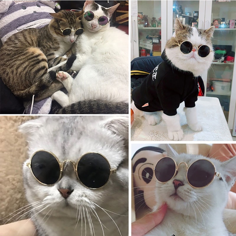 1KHpPet-Cat-Dog-Glasses-Pet-Products-for-Little-Dog-Cat-Eye-Wear-Dog-Sunglasses-Kitten-Accessories.jpg
