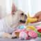 CM3KAnimals-Cartoon-Dog-Toys-Stuffed-Squeaking-Pet-Toy-Cute-Plush-Puzzle-For-Dogs-Cat-Chew-Squeaker.jpg