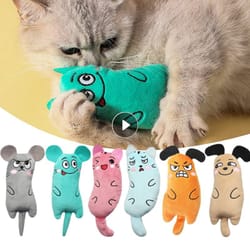 cute cat toys: interactive plush with catnip for fun & dental health | kitten mouse toy & pet supplies