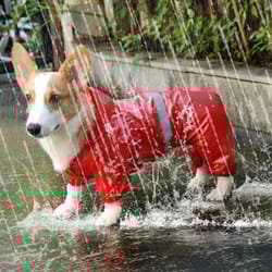 reflective waterproof dog raincoat jumpsuit - small pet outdoor clothes