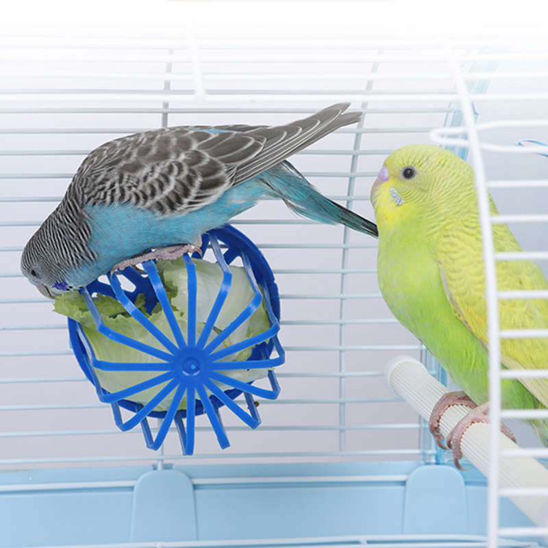 wn3k1PC-Bird-Parrot-Feeder-Cage-Fruit-Vegetable-Holder-Cage-Access-Hanging-Basket-Container-Toy-Pet-Parrot.jpg