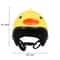 bU4XPigeon-Helmet-Parrot-Hat-Bird-Pet-Protective-Gear-Sunscreen-Rain-Helmet-Toy-Bird-Small-Pet-Supplies.jpg