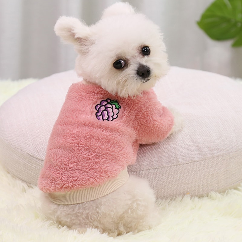 qeKx2024-New-Fashion-Pet-Clothes-Breathable-Dog-Clothes-Durable-Soft-Dog-Cute-Print-Puppy-Clothes-For.jpg