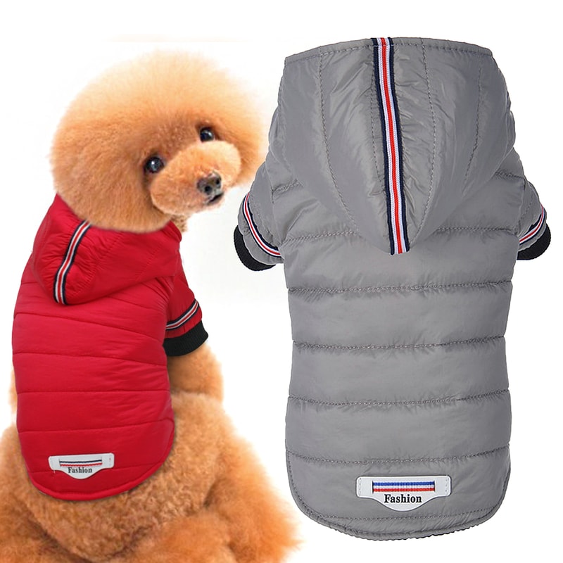 J2EnSmall-Dog-Clothes-Winter-Chihuahua-Clothing-Pet-Jacket-and-Coat-Waterproof-ropa-para-perros-for-Small.jpg