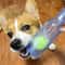 Durable TPR Chew Toy For Dogs BiteResistant Beer Bottle With Squeaky Tennis Ball Interactive Teet 2