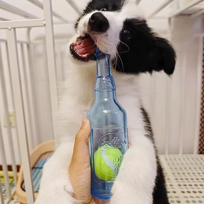 Durable TPR Chew Toy For Dogs BiteResistant Beer Bottle With Squeaky Tennis Ball Interactive Teet 5