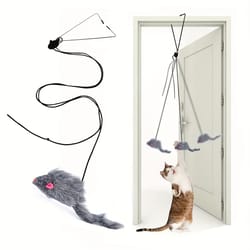 hanging cat toy for door, entertaining omdoor kitten teaser with dangling feathers, mental stimulation & exercise toy