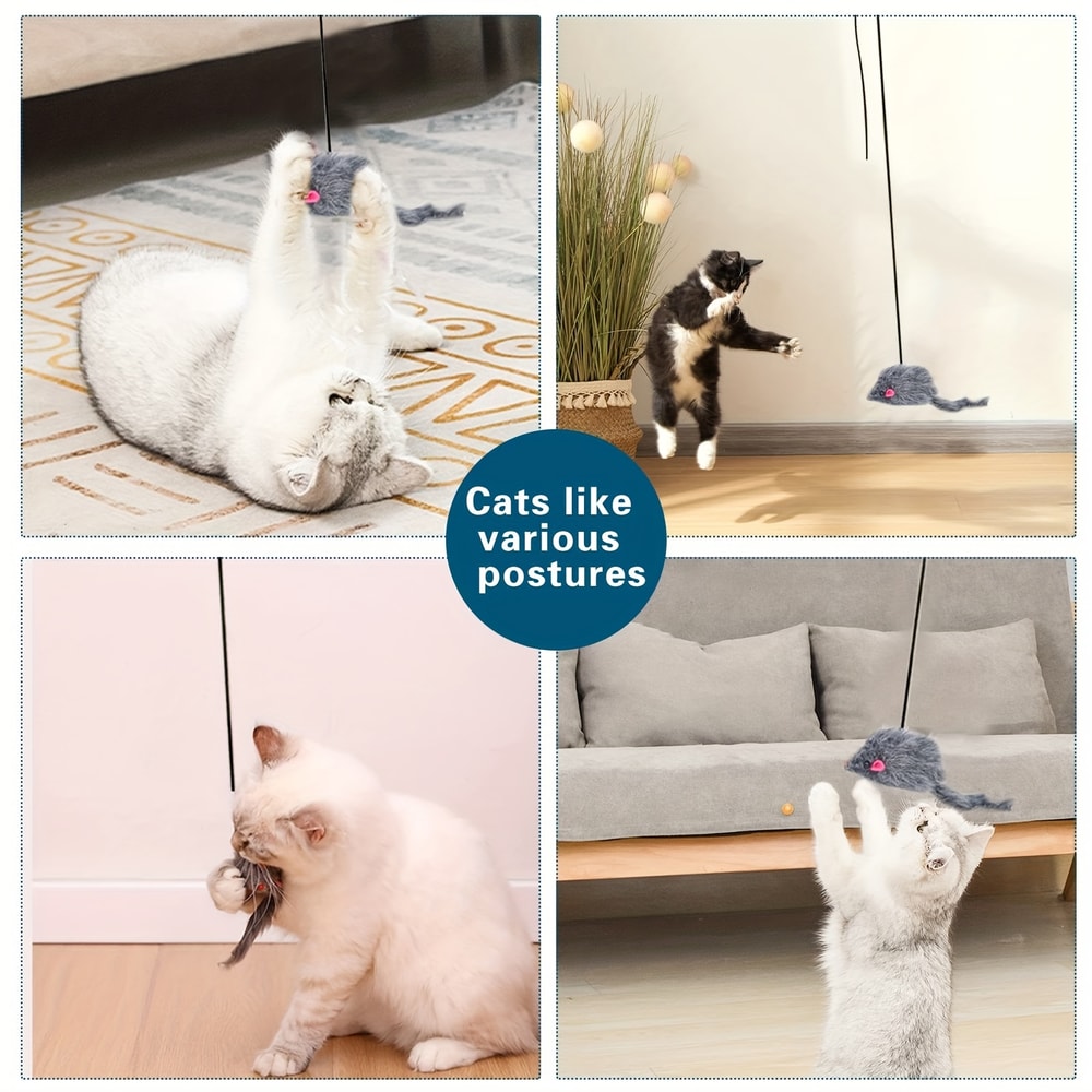 Hanging Cat Toy for Door, Entertaining OmDoor Kitten Teaser with Dangling Feathers, Mental Stimulation & Exercise Toy