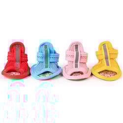 small dog summer shoes: non-slip breathable sandals & socks, blue