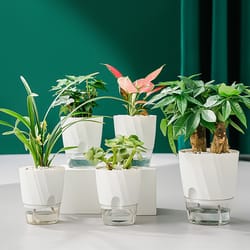 transparent self-watering hydroponic flower pot for office - automatic, double-layered plastic design