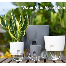 self-watering flowerpot: transparent double-layer plastic pot with cotton rope, injection port