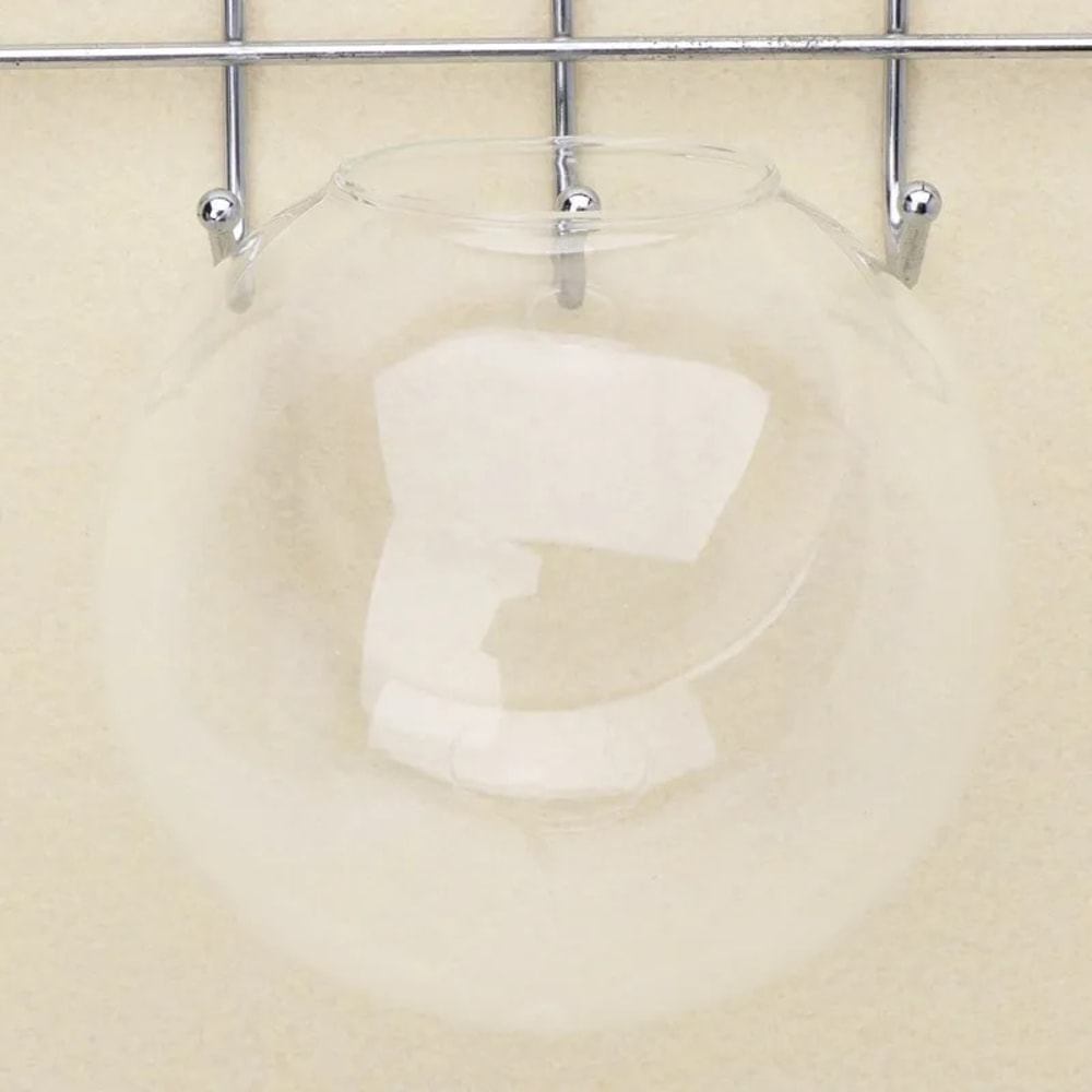 Dg51Transparent-Glass-Vase-Wall-Hanging-Hydroponic-Terrarium-Fish-Tanks-Potted-Plant-Flower-Pot-Dia-8cm-10cm.jpg