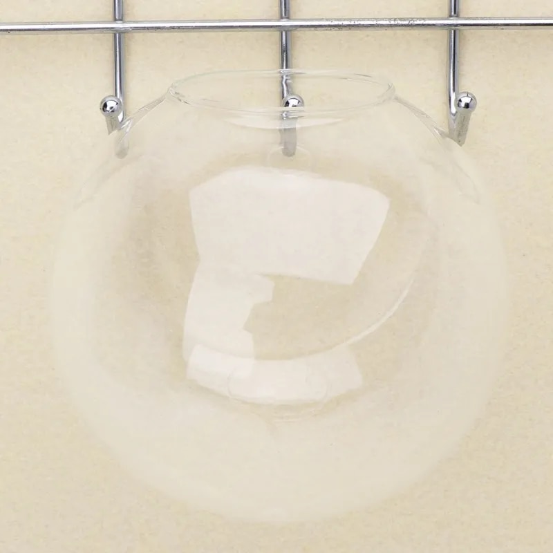 Dg51Transparent-Glass-Vase-Wall-Hanging-Hydroponic-Terrarium-Fish-Tanks-Potted-Plant-Flower-Pot-Dia-8cm-10cm.jpg