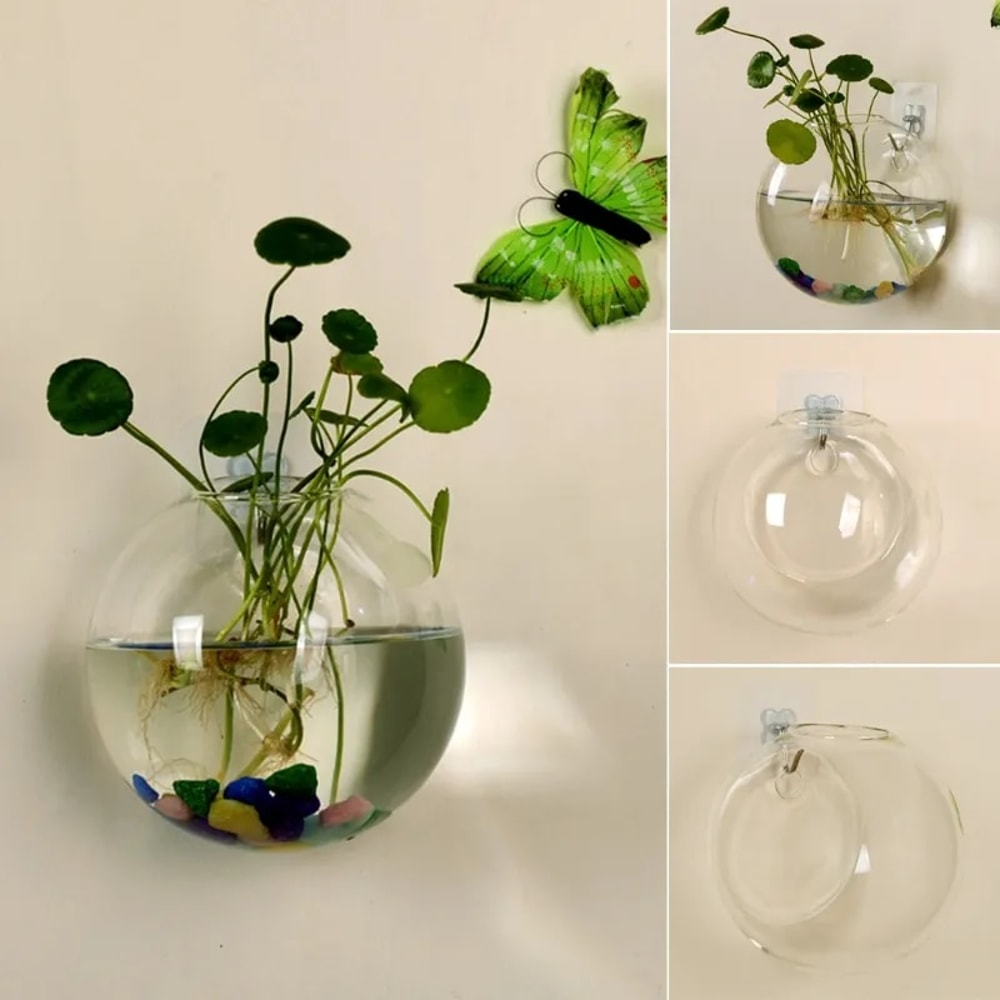 cstCTransparent-Glass-Vase-Wall-Hanging-Hydroponic-Terrarium-Fish-Tanks-Potted-Plant-Flower-Pot-Dia-8cm-10cm.jpg