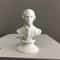 rvsbResin-David-Statue-Mini-Head-Art-Decoration-Norse-Mythology-Music-Artist-Figure-Statue-European-Modern-Art.jpeg