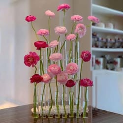 test tube vases glass ornaments fresh flowers hydroponic planters combination flower vase decor