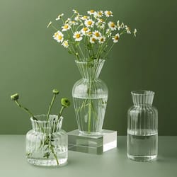 nordic glass vase: transparent plant hydroponic bottle for home decoration, living room, wedding table decor