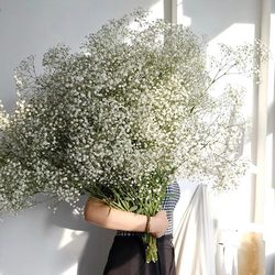 White Dried Gypsophila Baby's Breath Flowers for Home Decor & Weddings - Floral DIY Arrangement