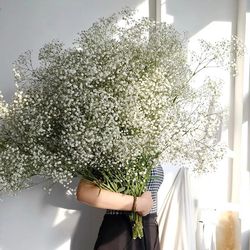 white dried gypsophila baby's breath flowers for home decor & weddings - floral diy arrangement