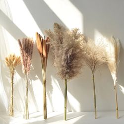 fluffy pampas grass boho wedding decor natural dried flowers bouquet home coffee table decoration