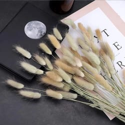 dried flower rabbit tail bouquet 30/60pcs home decor fluffy pampas floral arrangement rustic wedding table decoration