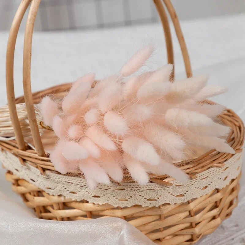 s7E660Pcs-Dried-Flowers-Rabbit-Tails-Grass-Bouquet-Home-Decor-Diy-Natural-Fluffy-Pampas-Floral-Arrangement-Rustic.jpg