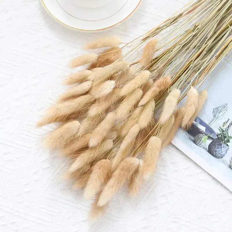SDYD60Pcs-Dried-Flowers-Rabbit-Tails-Grass-Bouquet-Home-Decor-Diy-Natural-Fluffy-Pampas-Floral-Arrangement-Rustic.jpg