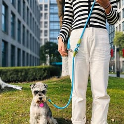 reflective nylon dog leash slip lead with traffic handle for small large dogs hands-free running pet chain traction rope