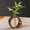 pOCjSolid-Wood-Dry-Vase-Flower-Arrangement-Living-Room-Dining-Table-Porch-Flower-Flower-Arrangement-Home-Decoration.jpg
