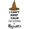 I can_t Keep Calm I_m Going to Hogwarts.jpg